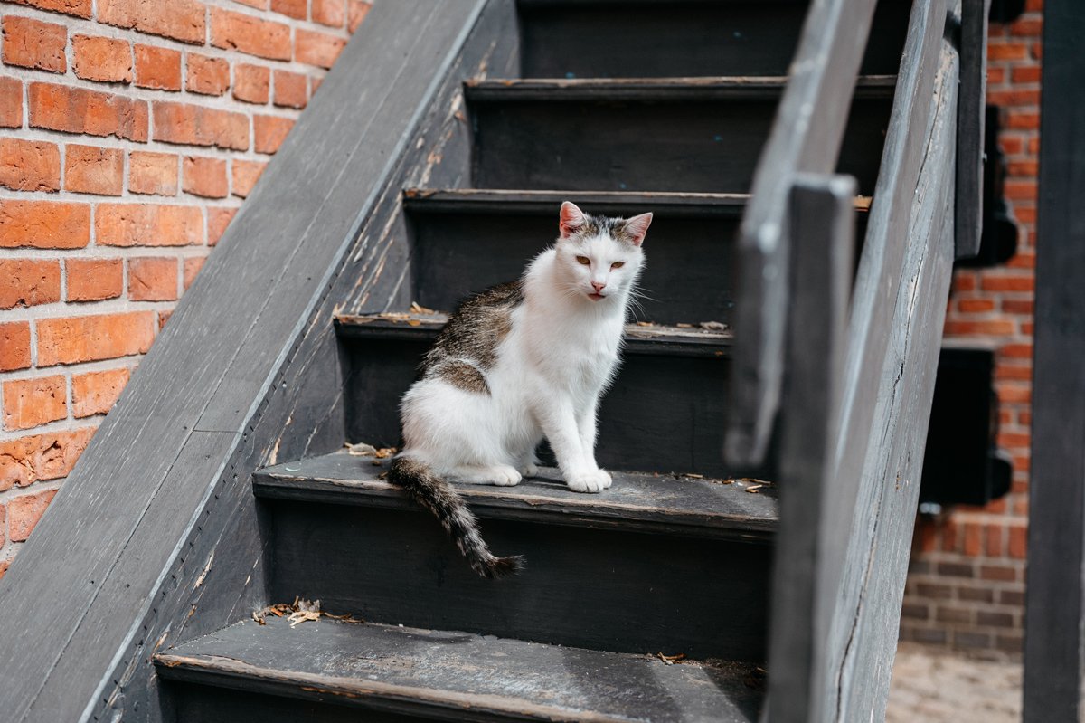 020 wesele w stylu boho