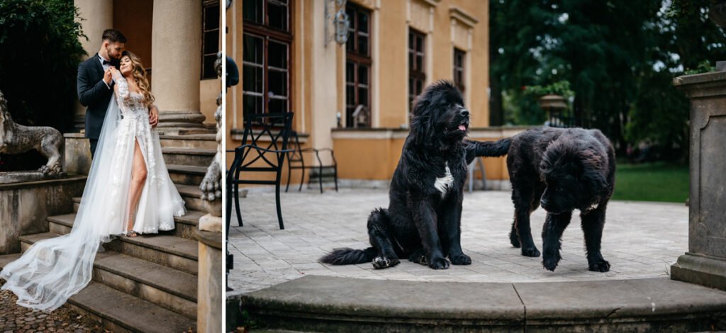 006 sesja slubna w folwarku