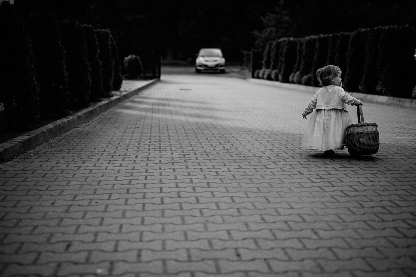 013 fotografia slubna